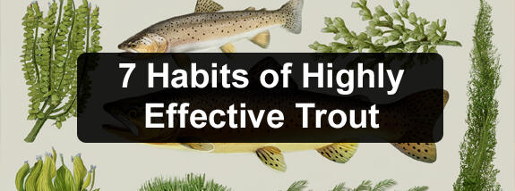 7 Habits of Highly Effective Trout